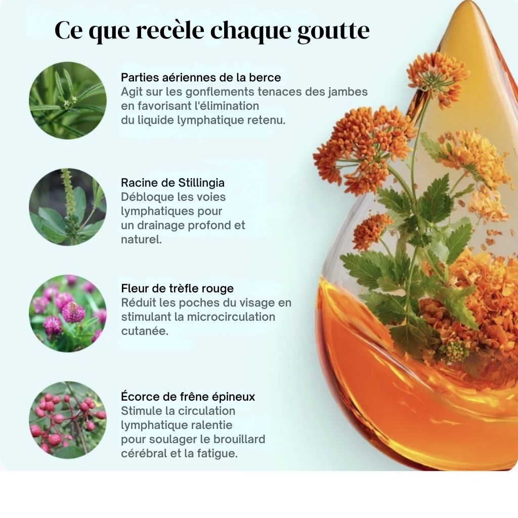 Ce que recèle chaque goutte